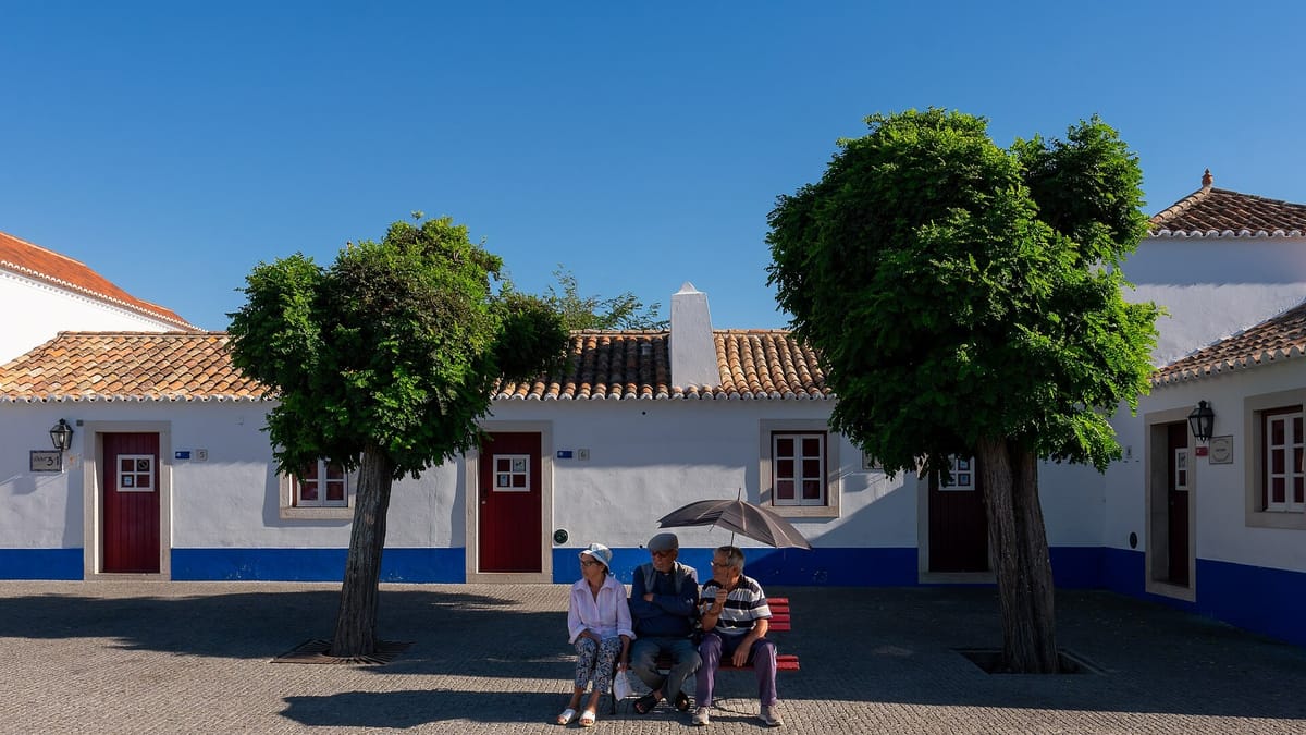 Nearly Half of Portugal's Over-65s Struggle With at Least One Household Task, and Women Report It Twice as Often as Men