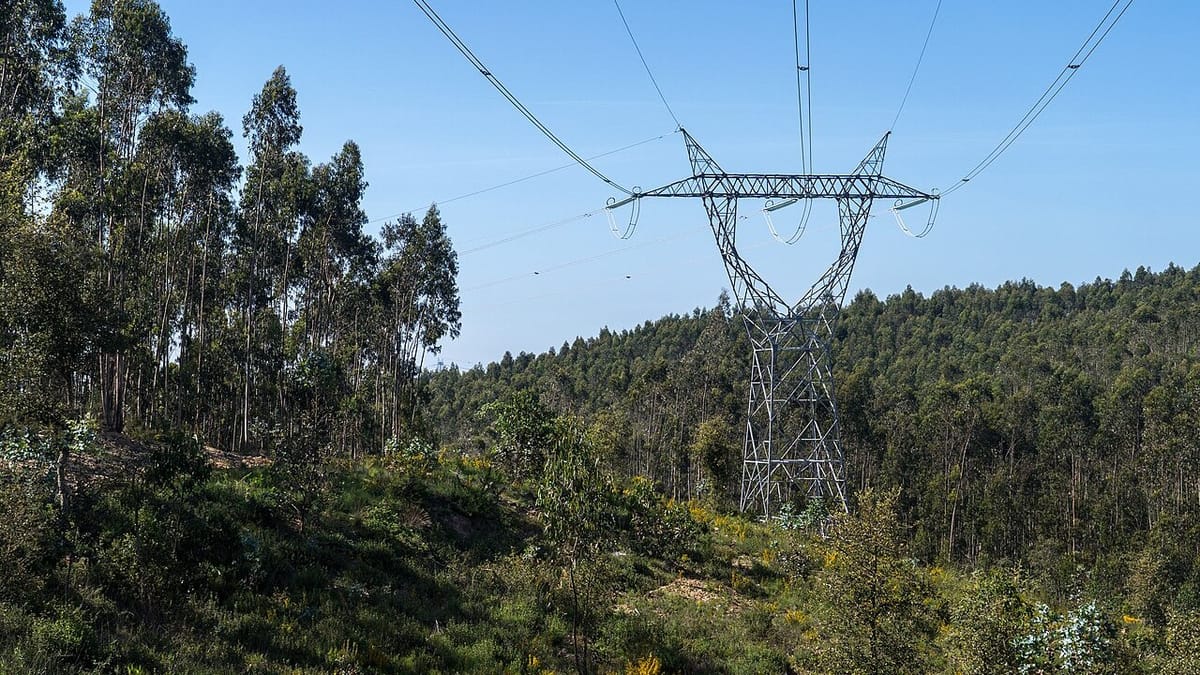 Wholesale Electricity in Portugal Is Having Its Third-Dearest Autumn on Record, at More Than Twice Last Year's Price