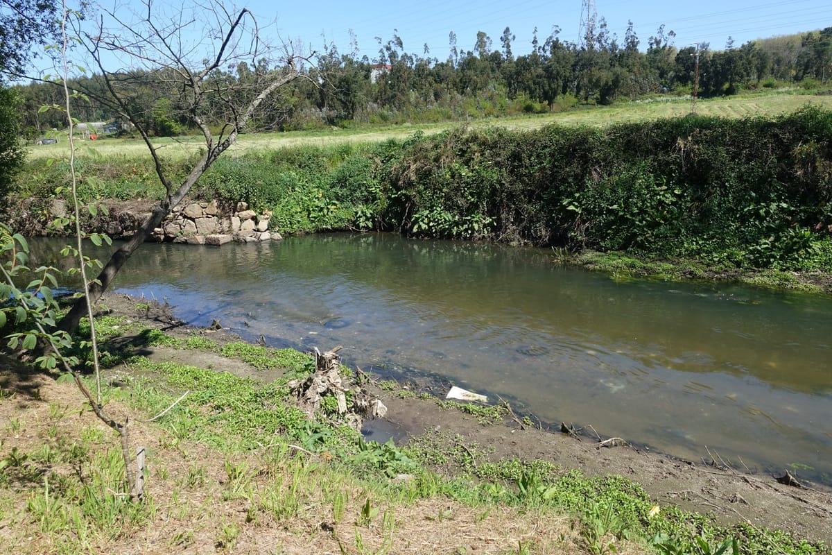 A Polluted River Costs the Leça Green Corridor Its Place Among the Finalists for Europe's Public Space Prize