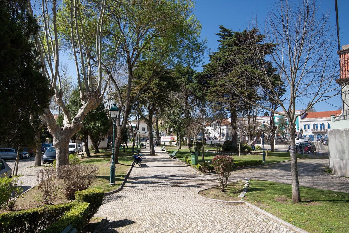Police Find Older Residents Held in Armchairs With Bed Sheets at an Unlicensed Care Home in Belas, Sintra