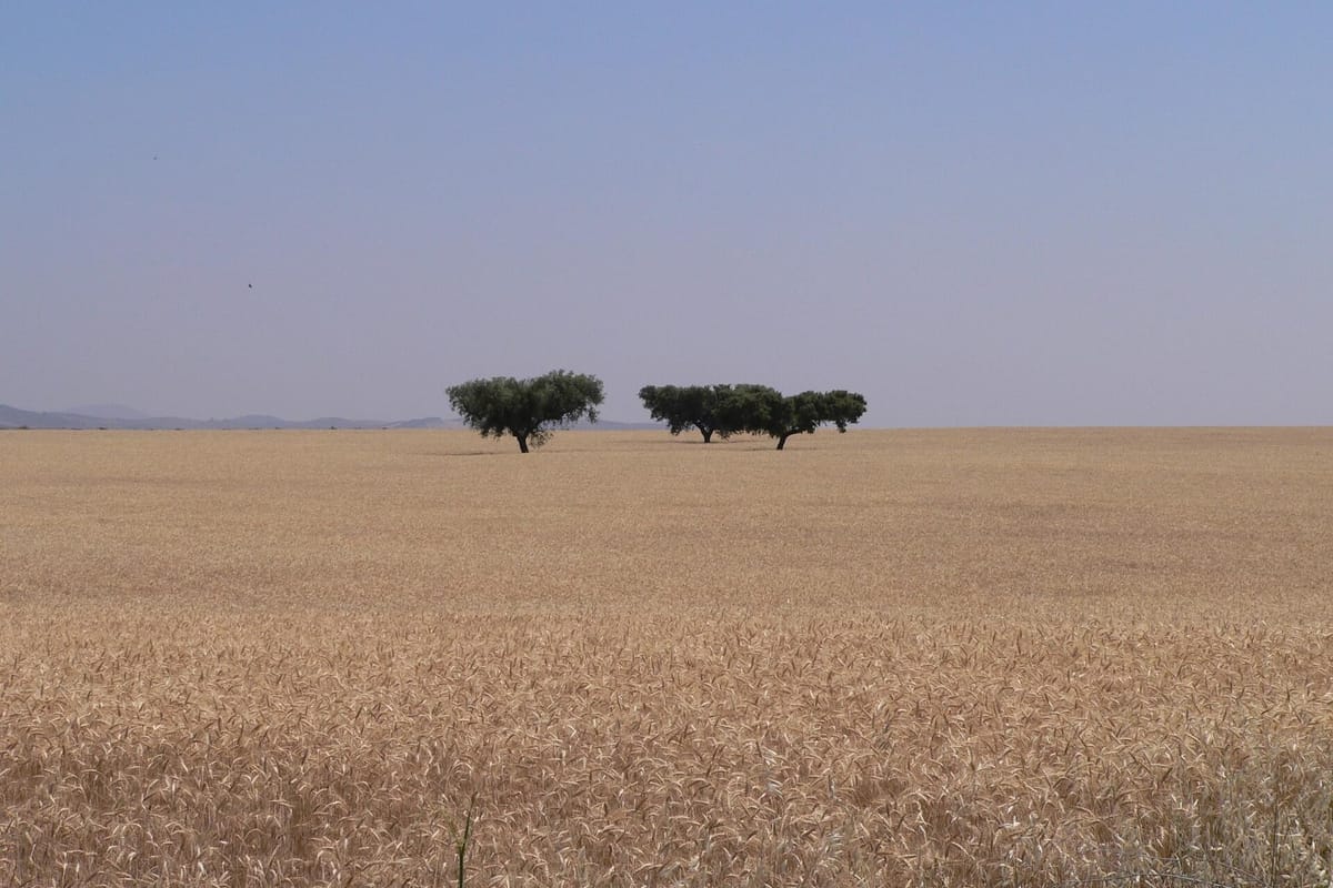 Alentejo Is the Only Portuguese Region With a Smaller Economy Than in 2019, Eurostat Data Show, While Madeira Grows 15.7 Percent