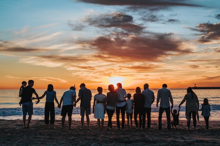 Moving Your Dog, Cat, or Ferret to Portugal: Pet Passports, Rabies Rules, and DGAV Paperwork Explained