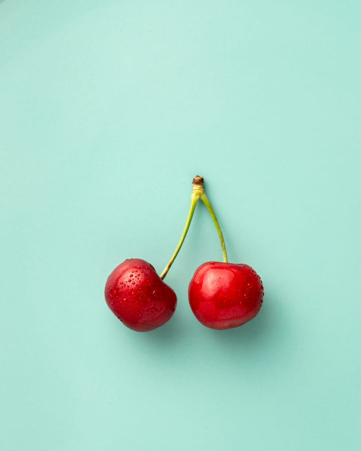 Cerfundão Says the 2026 Cherry Campaign in Fundão Could Hit 1,200-1,300 Tonnes — Almost Double the 700-Tonne 2025 Print as Cold Accumulation, Bloom and Foreign Labour Carry the Cova da Beira Back to a Normal Year