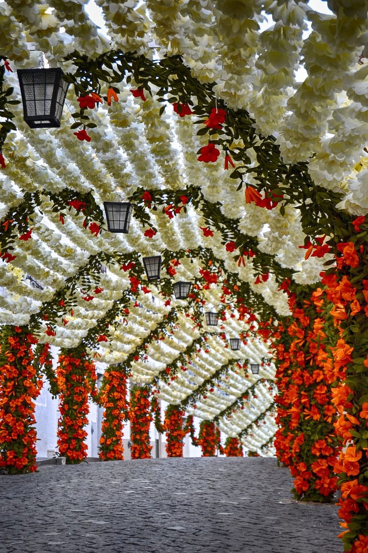A cobbled Campo Maior street roofed over with a dense canopy of white, red and orange handmade paper flowers strung between the houses, with hanging lanterns