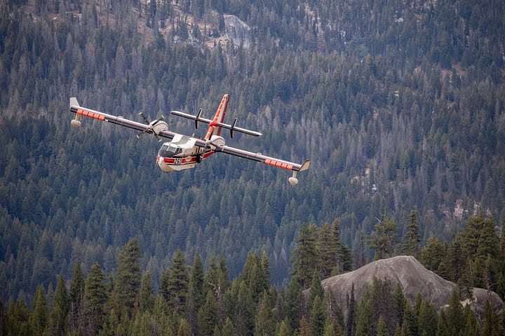 A red-and-white Canadair firefighting water bomber flying low over a dense green pine forest on a hillside