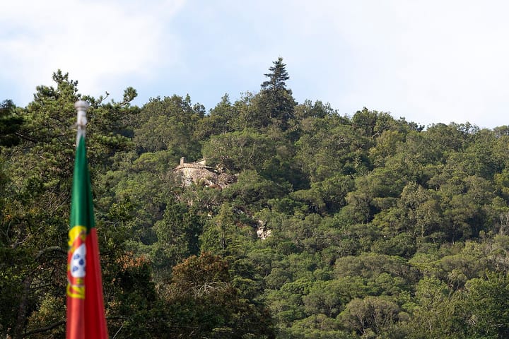 A lush green forested hillside of the Mata Nacional do Bucaco in central Portugal, with a Portuguese flag in the foreground