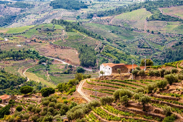 Terraced vineyards blanketing the steep hillsides of the Douro Valley, Portugal's port-wine region, with a white quinta on the ridge