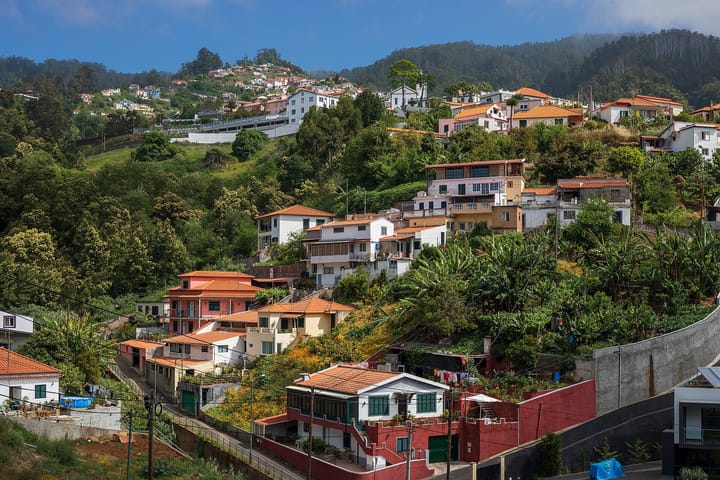 Terracotta-roofed houses climbing a steep green hillside above Funchal on the island of Madeira, with banana plants and terraced gardens between them.