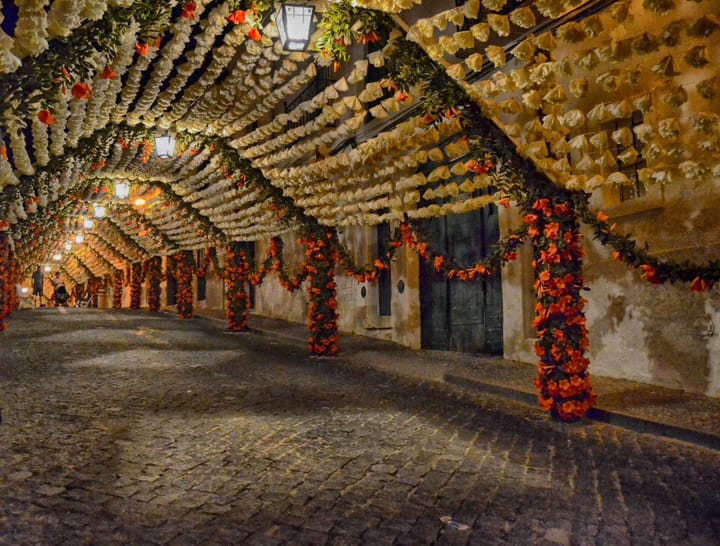 A cobbled street in Campo Maior draped overhead with canopies of handmade paper flowers and columns wrapped in orange blooms, lit by lanterns at night