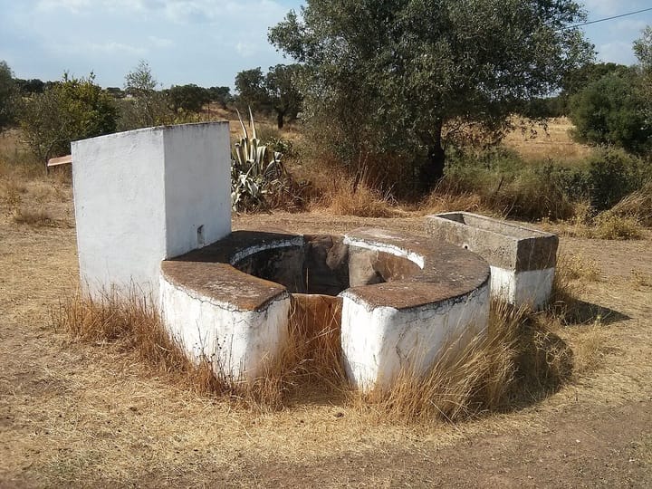 An open whitewashed dug well with a stone trough in dry Alentejo montado, surrounded by olive and cork oak trees