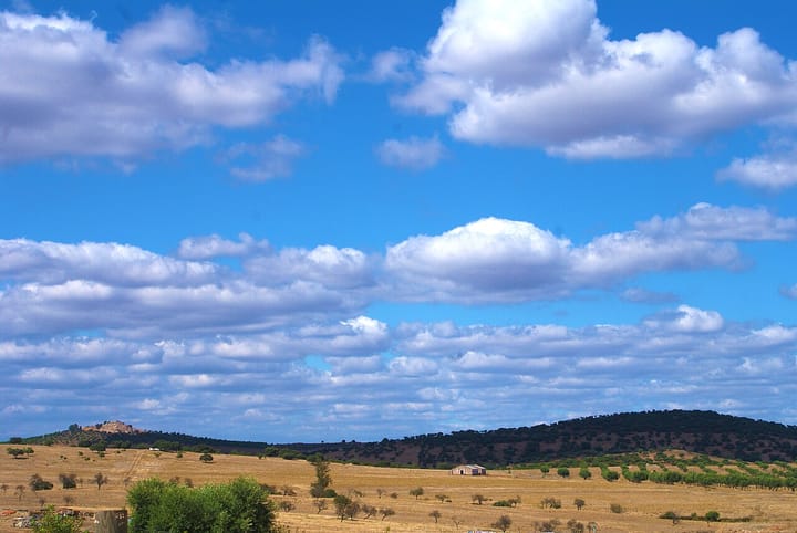 A dry, sun-baked plain of golden stubble and scattered cork oaks in Portugal's Alentejo during the summer drought