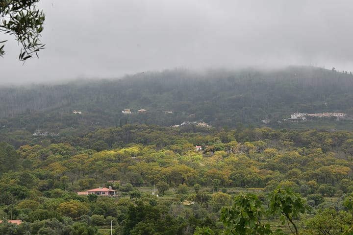 Scattered white houses and cork oaks on the wooded slopes of the Serra de Monchique in the Algarve, Portugal, under low cloud.