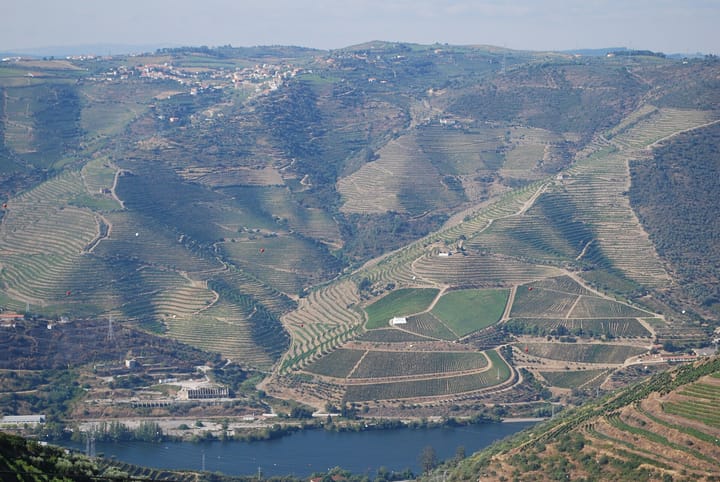 Terraced vineyards covering both banks of a steep valley above the Douro river in northern Portugal, with a hilltop village in the distance.