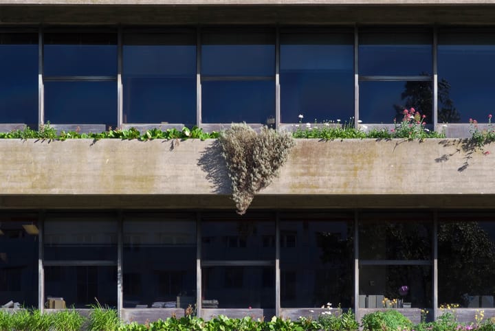 Gulbenkian's Jazz em Agosto Closes Its 42nd Edition with an L.A. Collective in the Garden