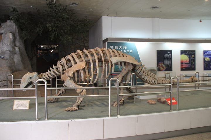 A Torres Vedras Cliff Yields What May Be Portugal's Most Complete Dinosaur