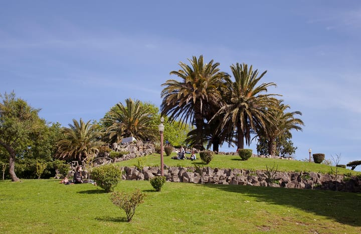 Lawns, palm trees and stone terracing at the Jardim do Morro in Vila Nova de Gaia, with visitors sitting on the grass under a blue sky