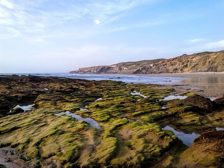 Algae-covered rock shelves and a sandy beach backed by cliffs in the Parque Natural do Sudoeste Alentejano e Costa Vicentina