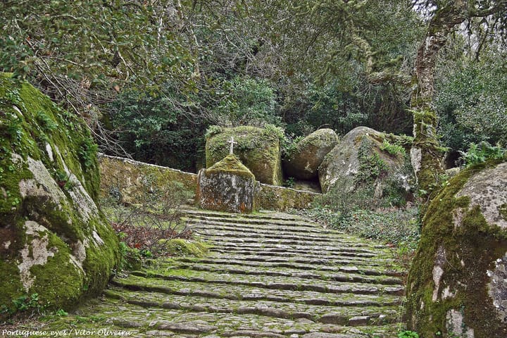 A mossy granite stairway climbing through dense woodland and lichen-covered boulders in the Serra de Sintra, at the Convento dos Capuchos