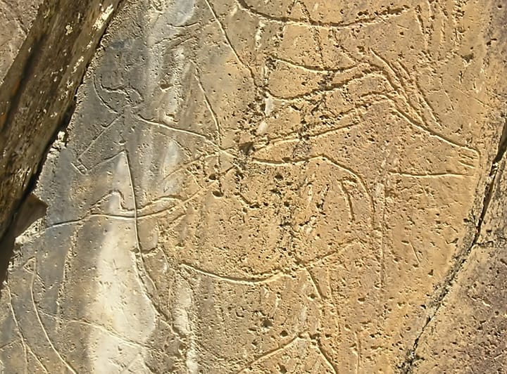 Prehistoric animal engravings carved into schist rock at Penascosa, Coa Valley