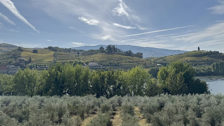 A Week After Publishing It, the Government Rewrites the Douro Non-Harvest Formula, and Growers Who Pick Less Now Get More