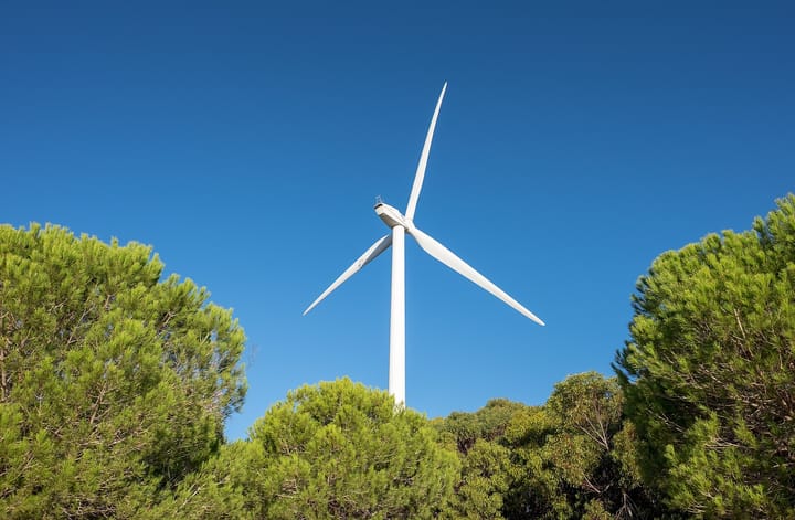 A single white wind turbine seen from below, rising above a stand of umbrella pines against a clear deep blue sky