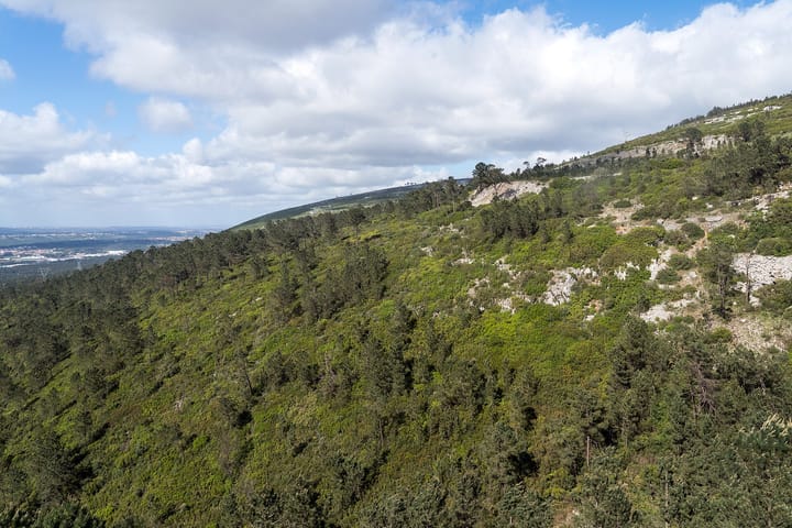 A wooded limestone escarpment in the Serras de Aire e Candeeiros, with white rock outcrops breaking through scrub along the ridge and the plain visible far below