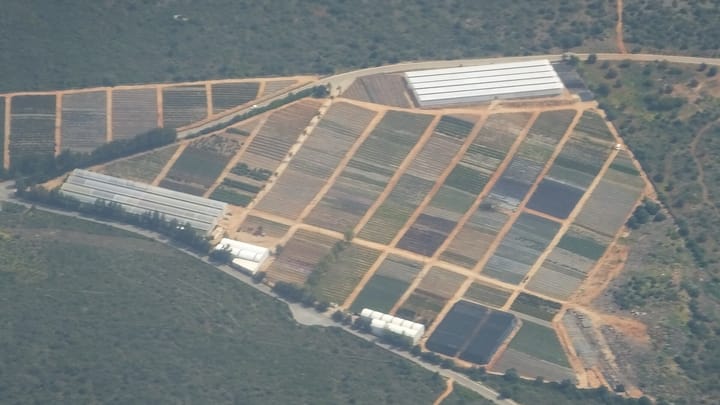 An aerial view of a patchwork of narrow cultivated plots divided by red earth tracks on a hillside south of Alte in the Algarve, with greenhouses along one edge