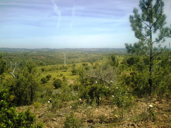 A rolling green Alentejo landscape of scattered oaks and scrub under a pale blue sky, with a country road running through the valley