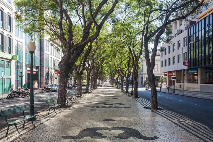 The tree-lined Avenida Arriaga in central Funchal, Madeira, with green benches and black and white Portuguese pavement running between the buildings