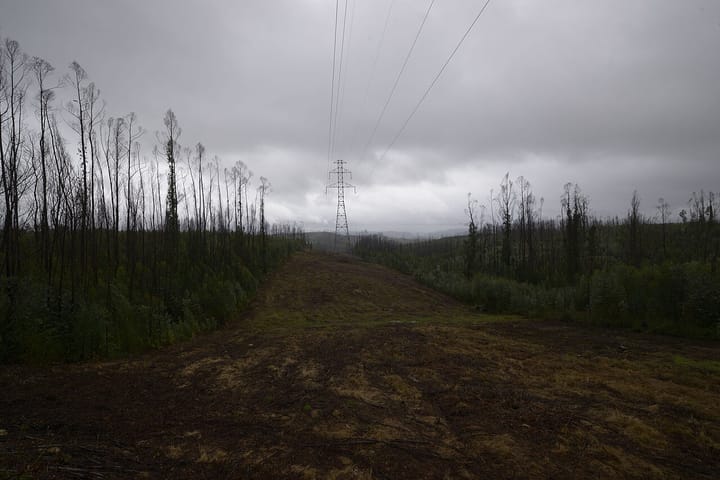 A high-voltage transmission pylon and its lines running down a cleared corridor through burnt and regrowing forest in Portugal under a grey sky