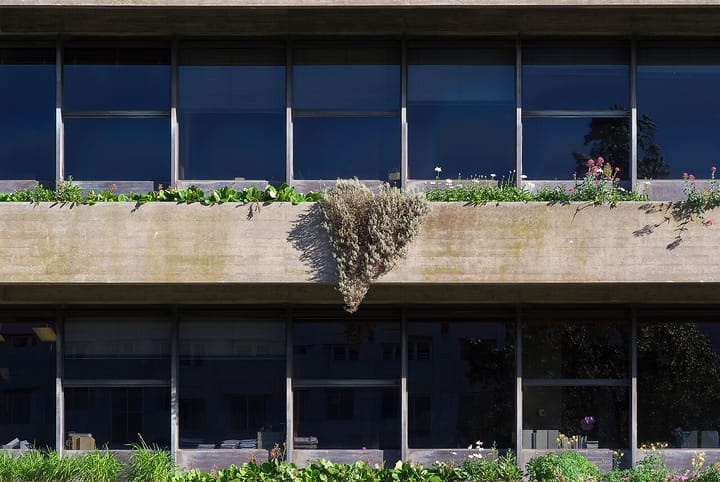 A concrete balcony of the Calouste Gulbenkian Foundation headquarters in Lisbon, planted with flowers and trailing greenery between two rows of dark windows