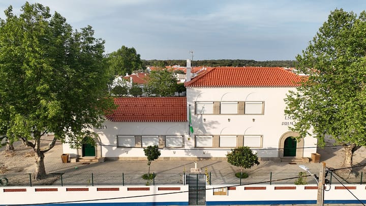 A whitewashed two-storey primary school with a red tiled roof, green doors and a flag, behind a low wall and plane trees in a Portuguese village