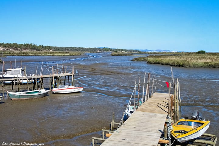 Portugal Pays Brussels 41,250 Euros a Day for Unprotected Nature Sites, and Monday's Sado Estuary Decree Is Worth 750 of Them